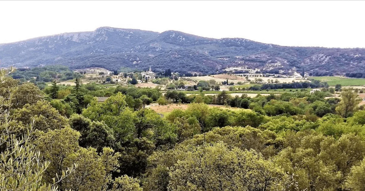 vue sur Montoulieu