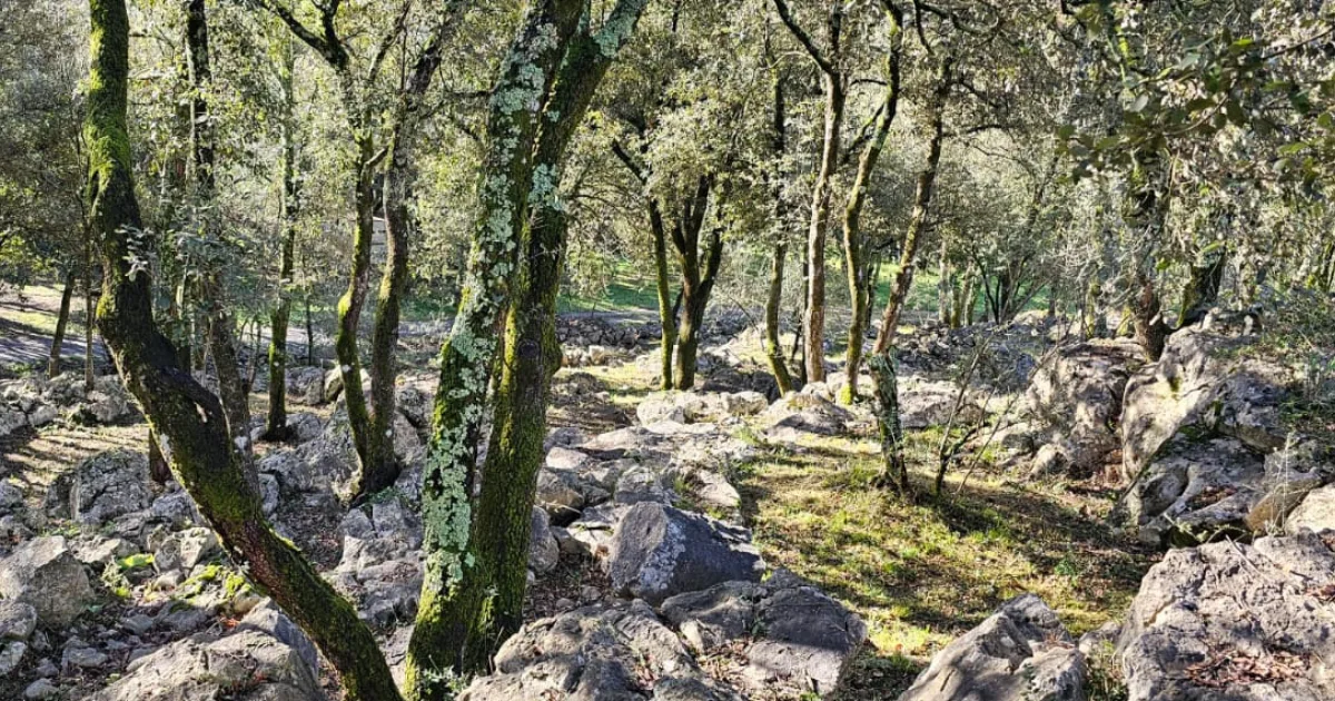 Randonnées dans les Cévennes