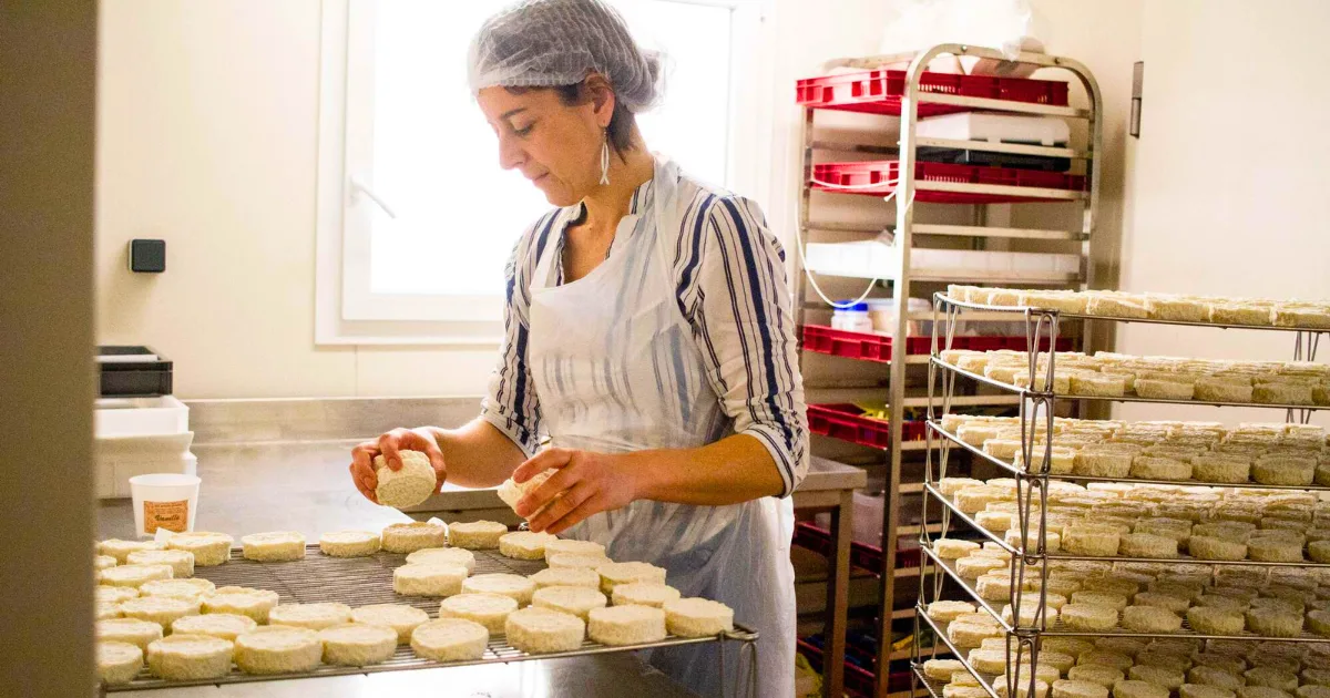 Artisan fromager à la chévrerie des Demoiselles, préparant des pélardons, spécialité des cévennes à base de fromage de chèvre. Spécialités cévenoles