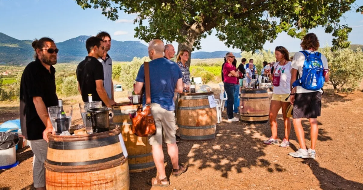 Un groupe de personnes participant à une dégustation de vin en plein air, entouré de vignobles et d’un paysage ensoleillé, mettant en avant une expérience œnotouristique conviviale.